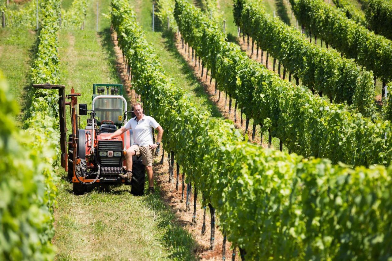 Weingut-Gaestezimmer Uhl Ratsch an der Weinstraße Esterno foto
